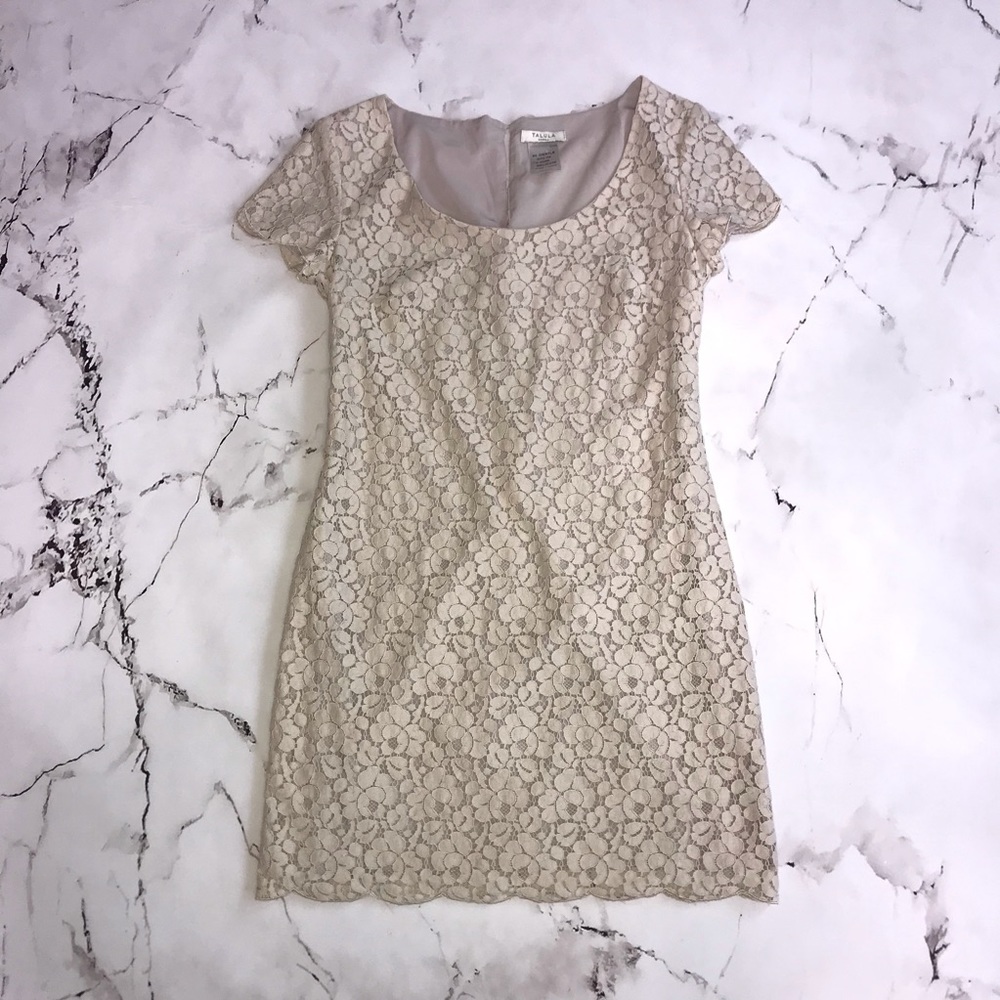 Aritzia Talula Oji Dress Floral Lace Fully Lined Size XS Short Sleeve Beige